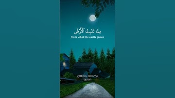 سبحان الذي خلق الازواج كلها  🌹  عبدالباسط عبدالصمد   🌹   القرآن الكريم 🌹  quran