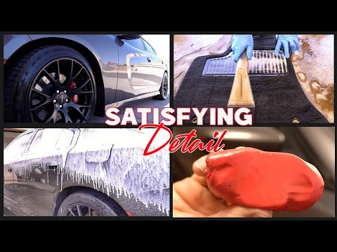 Satisfying FULL Detail | Scat Pack Dodge Charger | Interior & Exterior