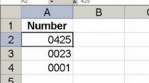 HOW TO KEEP LEADING ZEROS ON LEFT IN EXCEL 2010? VIDEO TUTORIAL