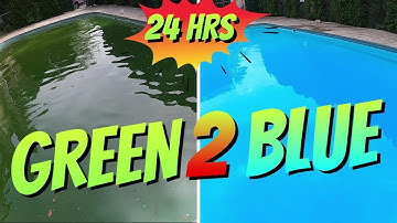 Green to Blue Pool in 24 hours: How to Clean a Green Pool: Pool Cleaning: Cleaning a Swimming Pool