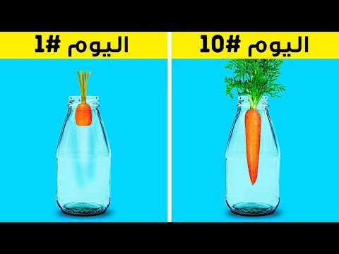 فيديو: العناية بنبات زهرة الأشباح - كيفية زراعة نبات الأشباح Graptopetalum