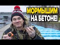 Дядя Фёдор про "догонялки" для голодранцев на плавающем бетоне! В ожидании рыбалки на Твёрдой Воде.