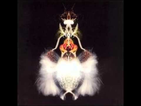 Bola - Horizophon