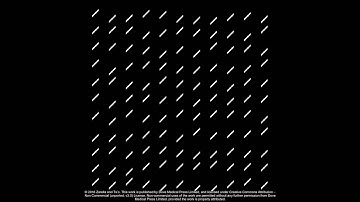 Feature-specific contextual modulation of V1 and V2 neurons - Supplementary V3 [105616]