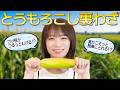 夏といえばとうもろこし！秋元真夏がこの夏試したいとうもろこしライフハックをご紹介🌽 簡単おつまみレシピも！