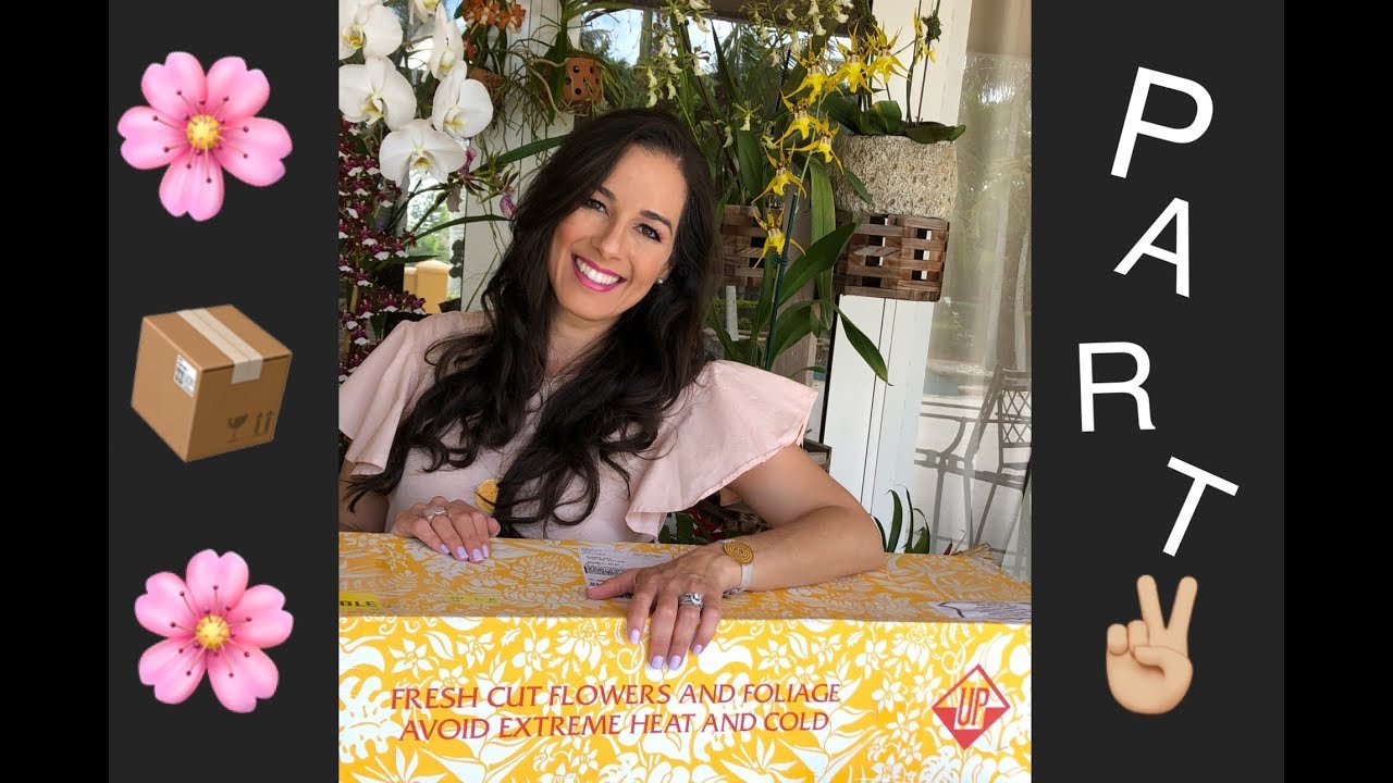Unboxing HUGE Orchid Order, Part 2, Carmela Orchids, Orchid Diva