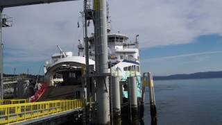 Salish Orca Departure Horn