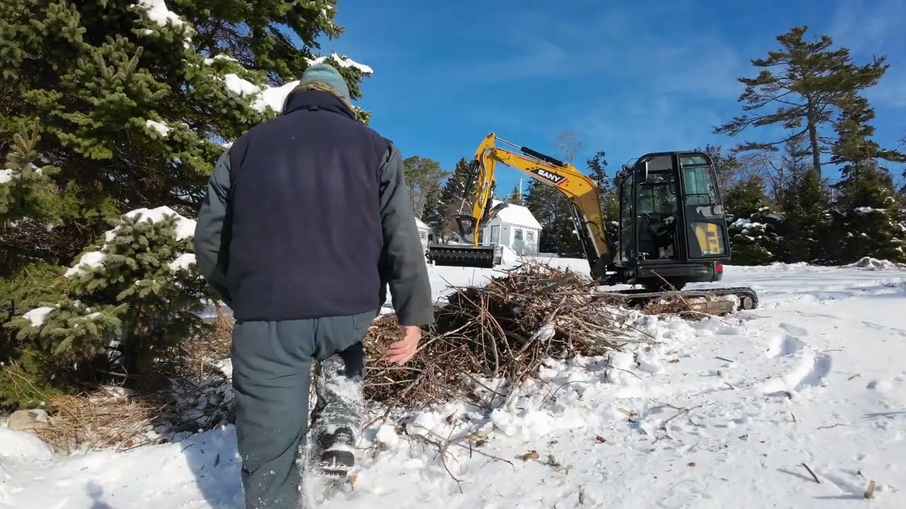 Mulching Maple limbs and spruce. 