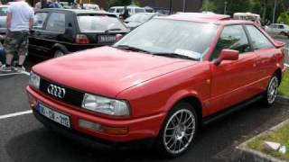 limerick 2010 vag show