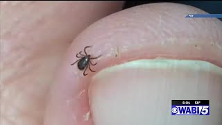 Medical professionals advise against going to E.R. for tick bites this