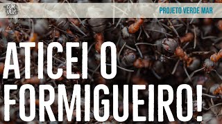Projetos unidos pela proteção marinha - Ação socioambiental na Praia Vermelha