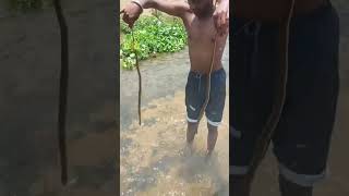 snake r#escue inverter #bottoms#funny #thalapaty 🐍🐍