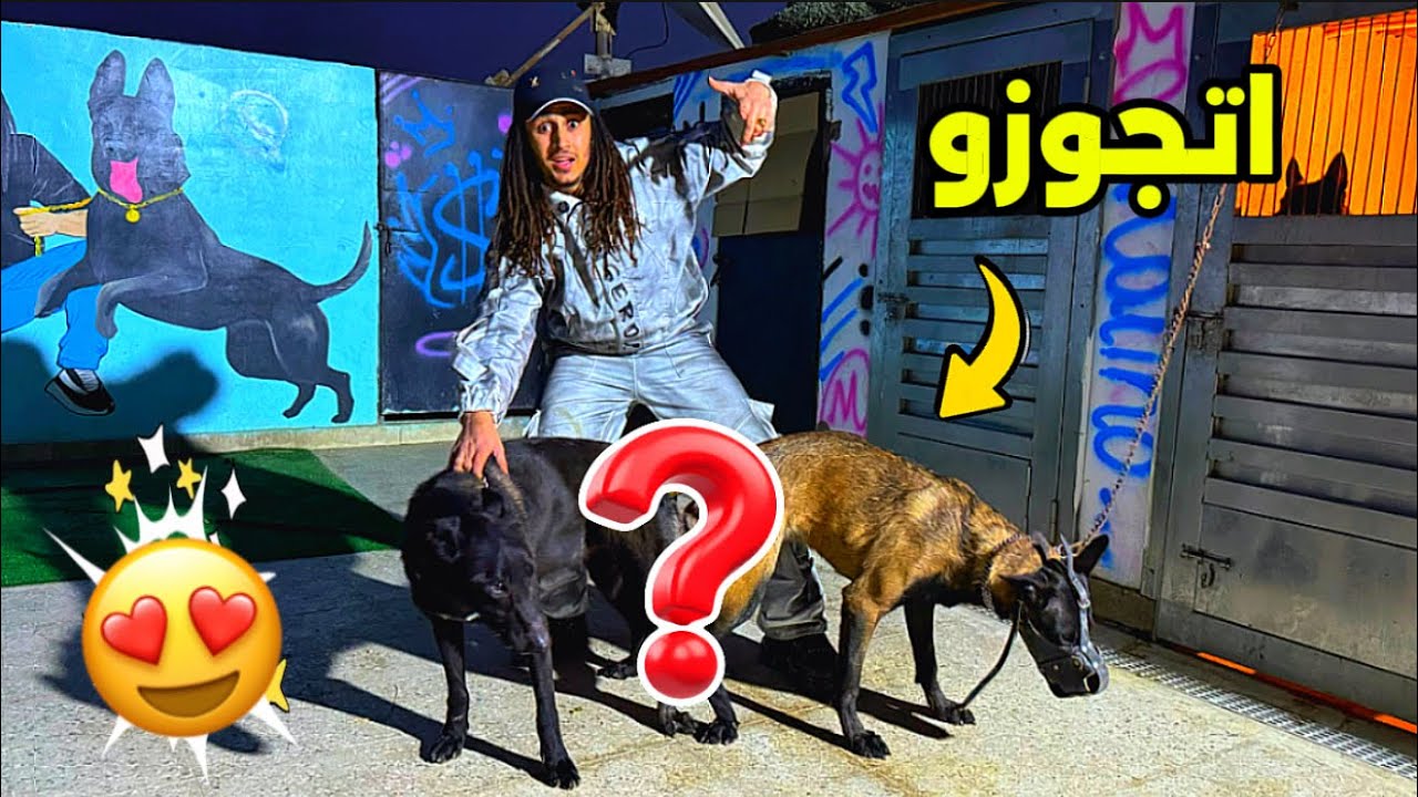 جوزت كلابي 😍 طريقه ازاي تجوز الكلاب 