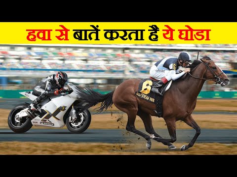 वीडियो: अब तक का सबसे तेज़ घुड़दौड़ का घोड़ा कौन है?