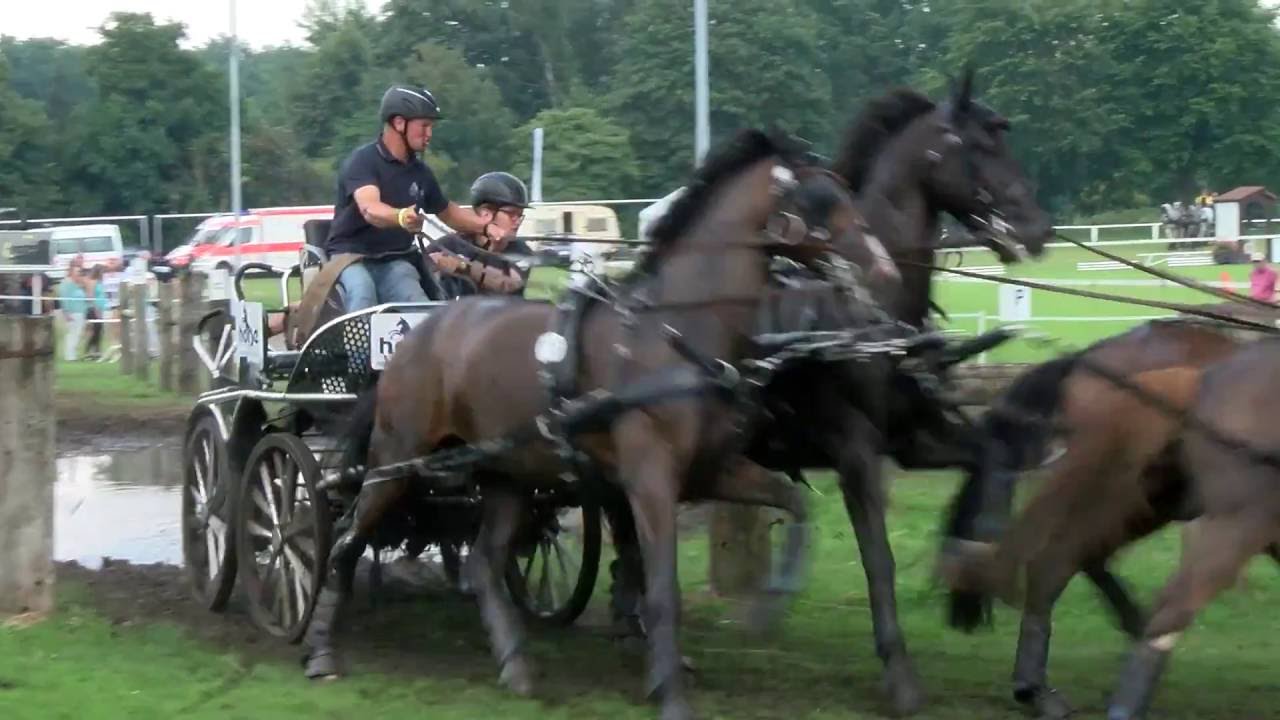 Gespannfahren beim Oldenburger Landesturnier