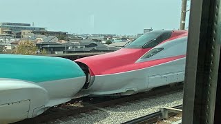【並走】JR埼京線・E5系＋E6系新幹線と並走（2024年4月・南与野駅付近） #shinkansen #japan