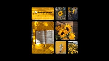 استوريهات قرآن💛🌼،، سورة الحشر⚡️يَا أَيُّهَا الَّذِينَ آمَنُوا اتَّقُوا اللَّهَ وَلْتَنظُرْ نَفْسٌ