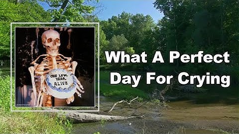 Iamnotshane - What A Perfect Day For Crying  (Lyrics)