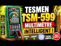 TESMEN TSM-599 Multimètre Numérique Intelligent TRMS 6000 Comptes - NCV, Tension, Courant, Résistance, Continuité, Diode, Capacité, Hz%, Température, Fil Actif
