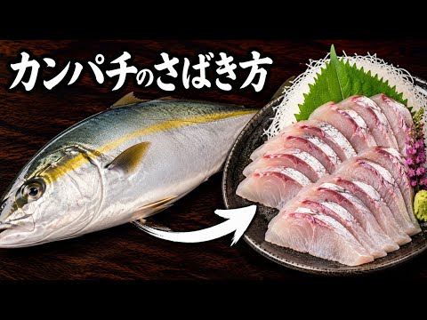 カンパチのさばき方｜三枚おろしから刺身まで【板前の基本技術】