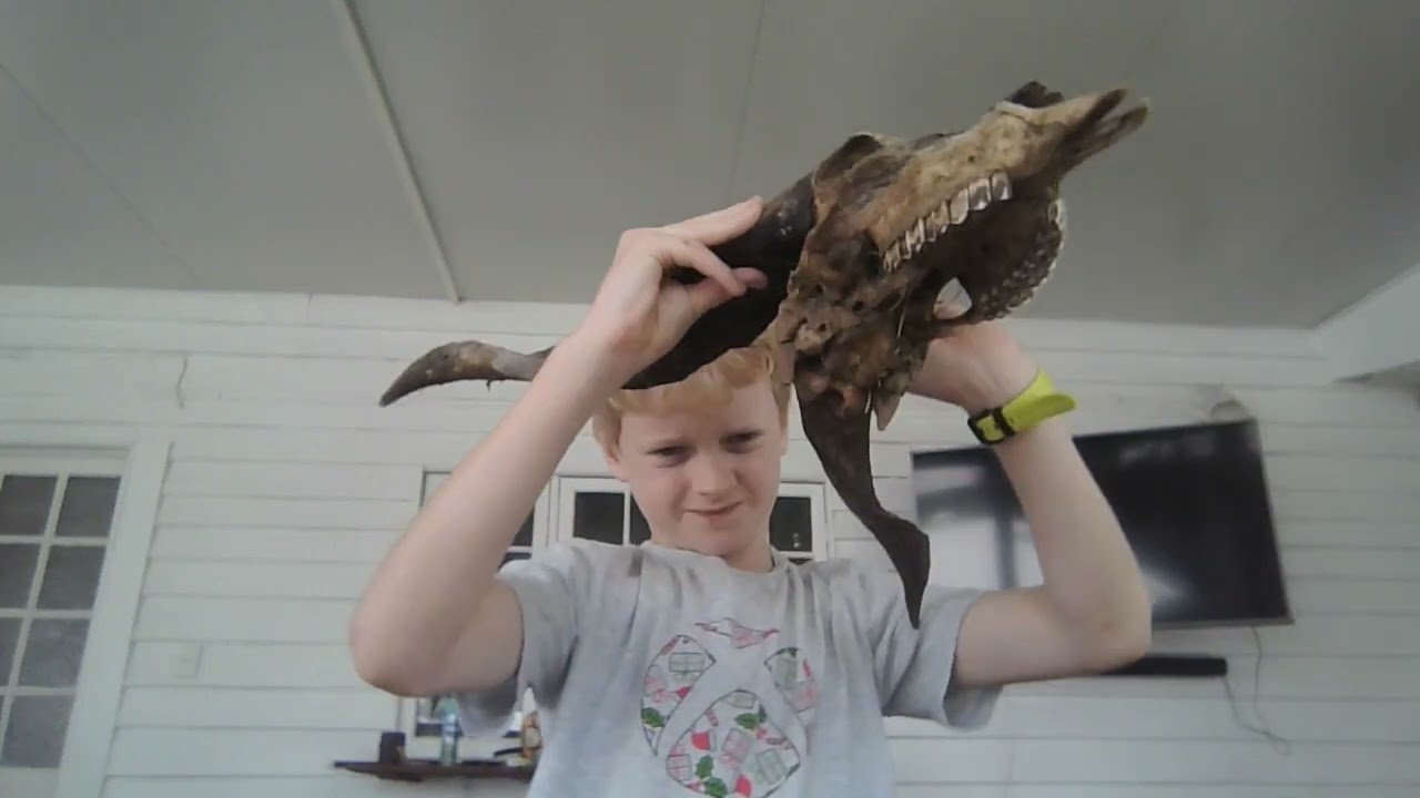 Guess what we found on the Keppel Sand Dunes???!!!