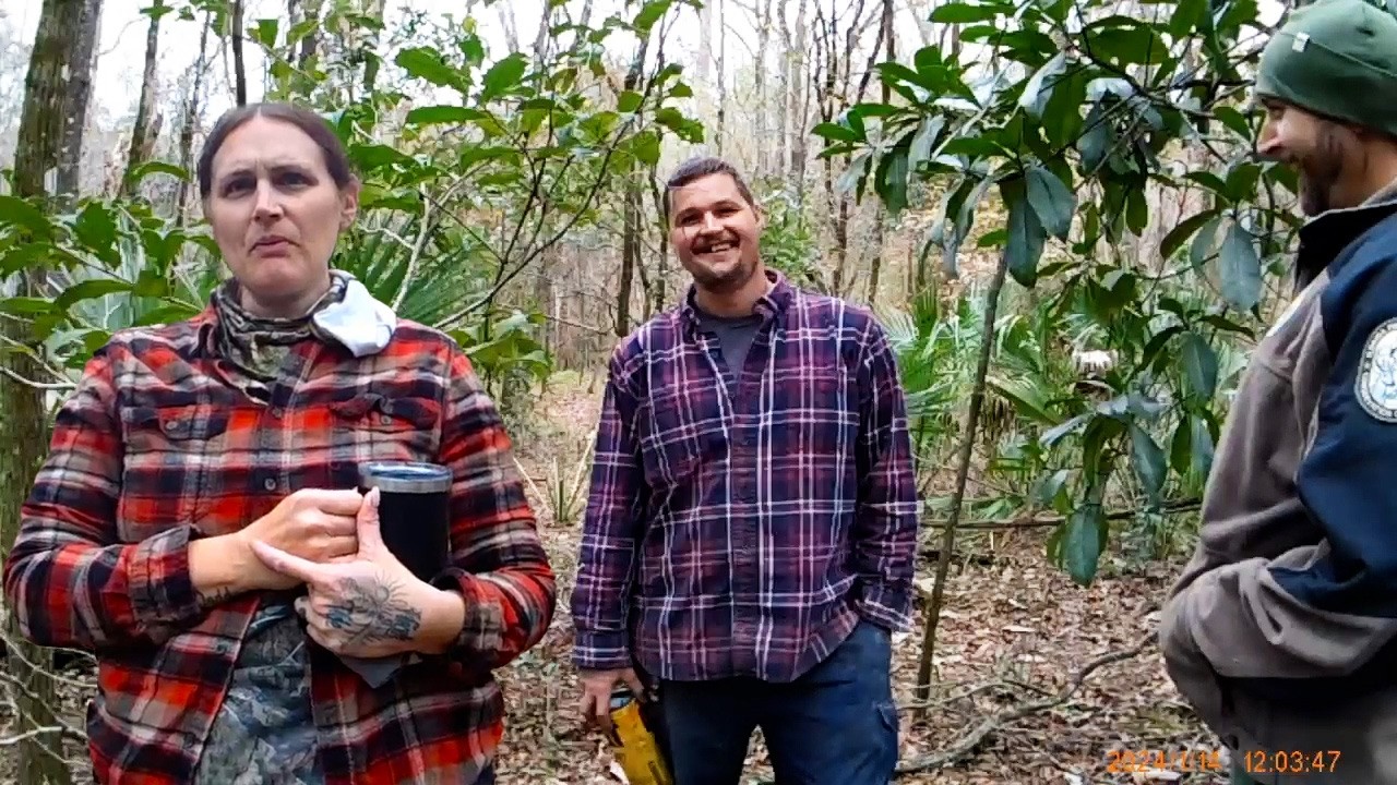 Illegal Archaeological Excavation in Florida Leads to Arrest