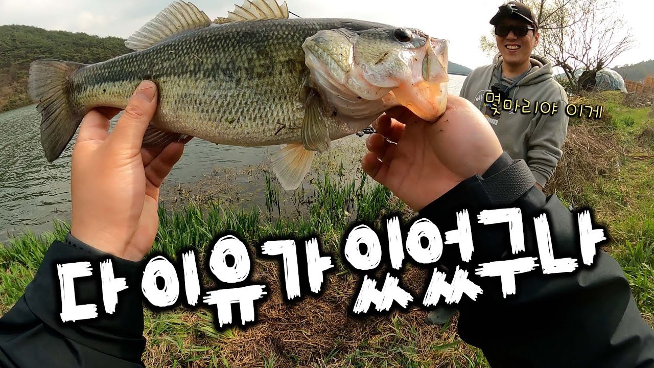 배스가 없을 것 같았는데 한자리에 다 있던 건가? 왜지? [배스피디수첩]