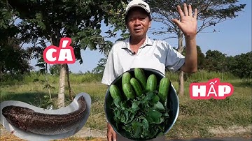 Hướng dẫn cách hấp Cá Lóc / Hồ Định .Instructions on how to steam snakehead fish / Ho Dinh