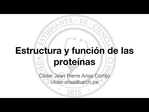 Video: Funciones Y Estructura De Las Proteínas