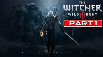 THE WITCHER 3 WILD HUNT Gameplay | Part 1 (1440P 60FPS) | No Commentary