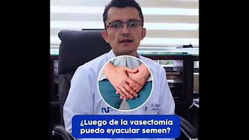 ¿Cuántas eyaculaciones después de la vasectomía?