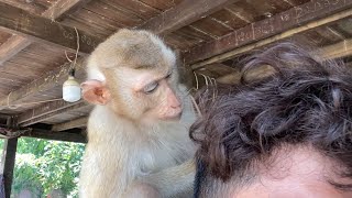 My Special Grooming For Me Zueii| Monkey Grooming Me