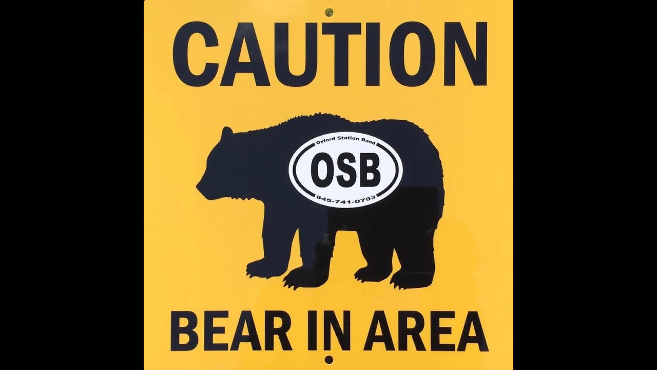 Oxford Station Band, Ophelia YouTube