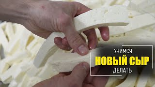 Учимся делать новый сыр