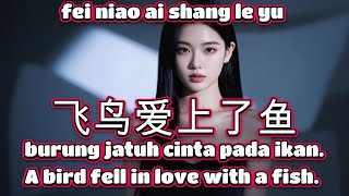 宁小泽🎵飞鸟爱上了鱼🎵cover🎵fei niao ai shang le yu