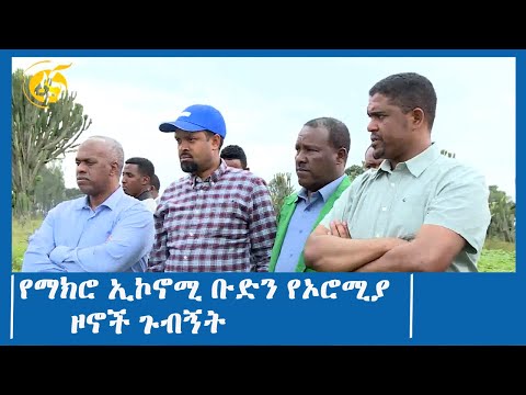 ቪዲዮ: የአፖካሊፕቲክ ብርሃን ጭነቶች በሳንግ ኪን-ዋህ