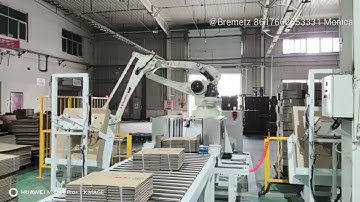 (Bremetz Machinery) Robot used in corrugated carton palletizing