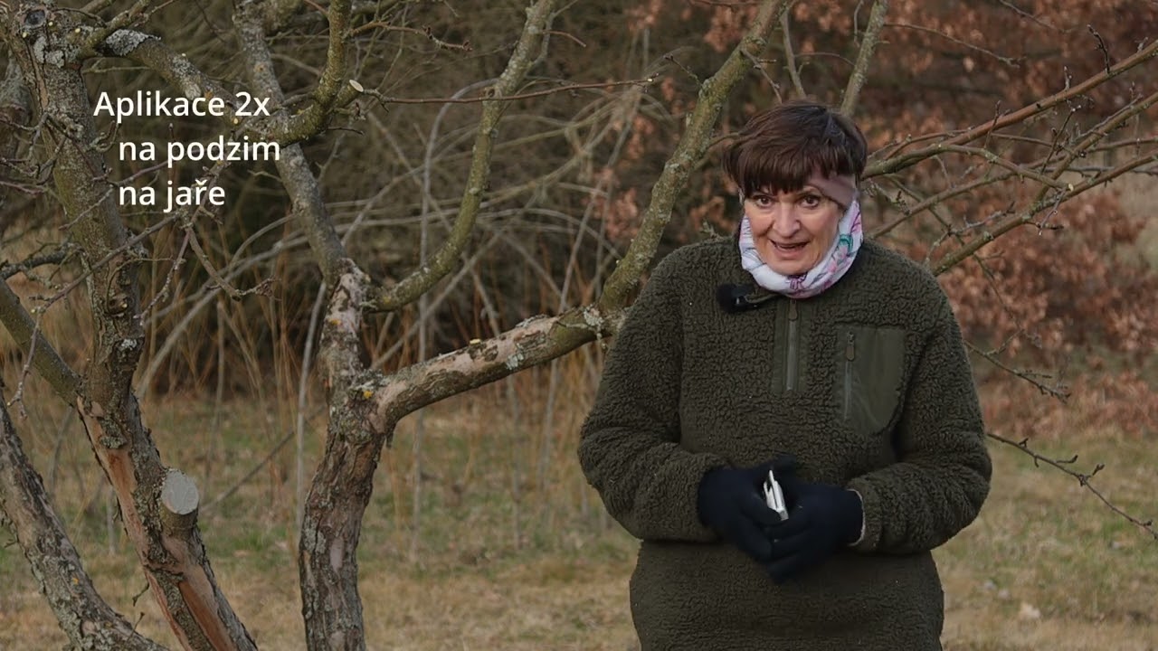 Jak ošetřit jabloně proti obalečům? Biologicky a bez chemie