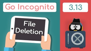 How To Delete Files Securely | Go Incognito 3.13