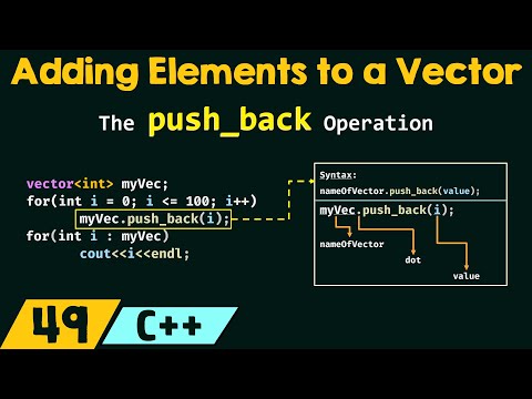 Video: Câte elemente pot conține vectorii?