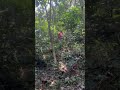 Бавеан. Индонезия. Кругосветка под парусом.