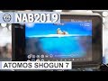 NAB2019: Atomos Shogun 7