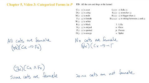 Chapter 5, Video 3: Categorical Forms in P