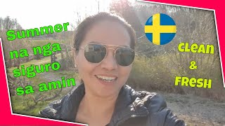 swedish nature | unwind relaxing and refreshing  | beautiful relaxing and peaceful place view  |