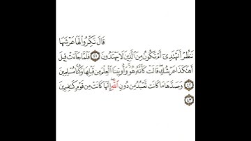 سورة النمل 13 القسم الثالث عشر تكرار كيفي من .. قال نكروا لها عرشها .. إلى .. من قوم كافرين