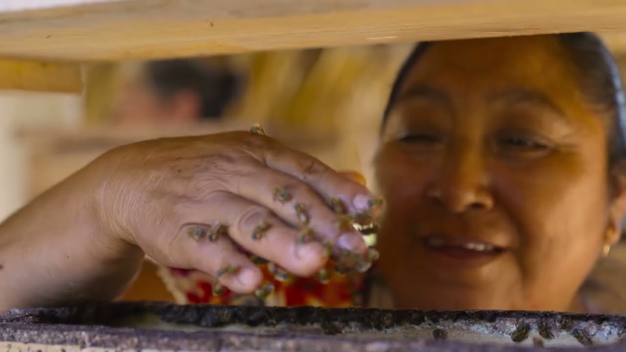 James Cameron, and explorer Bertie Gregory present the secret of the bees