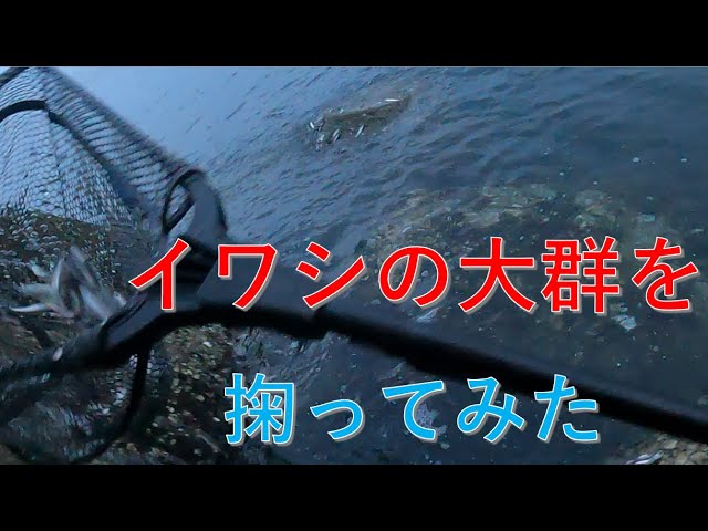 たかちゃんねる - YouTube
