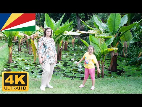 Video: Botanical Gardens of Victoria (Botanical Garden) description and photos - Seychelles: Victoria