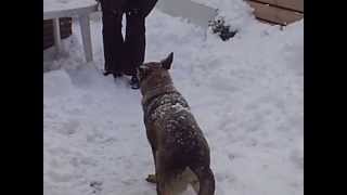 20091012_23.AVI