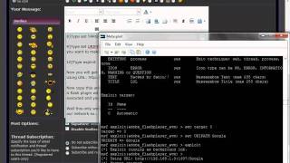 Adobe Flashplayer AVM exploit Demo